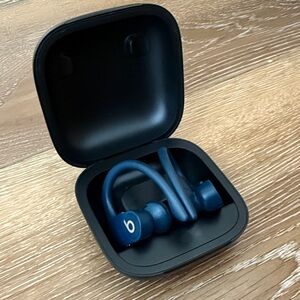 Beats Powerbeats Pro Wireless Earbuds